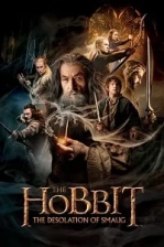 Hobbit: Smaug'un Çorak Toprakları Poster